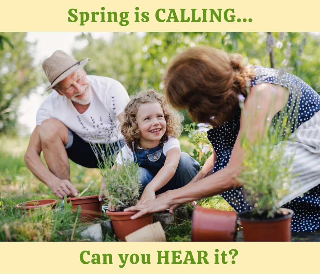 Spring is calling image