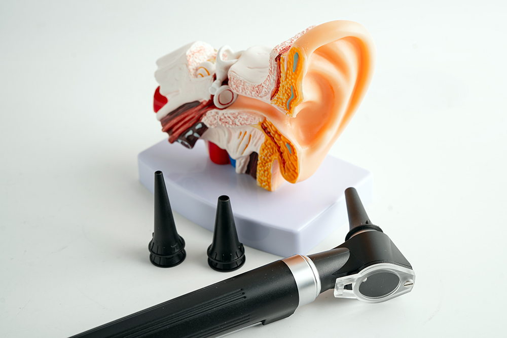otoscope with inner ear model