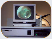 img2.jpg