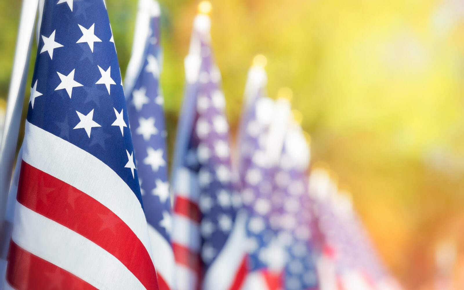 Closeup of an American flag in a row