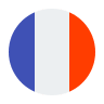 icons france 96