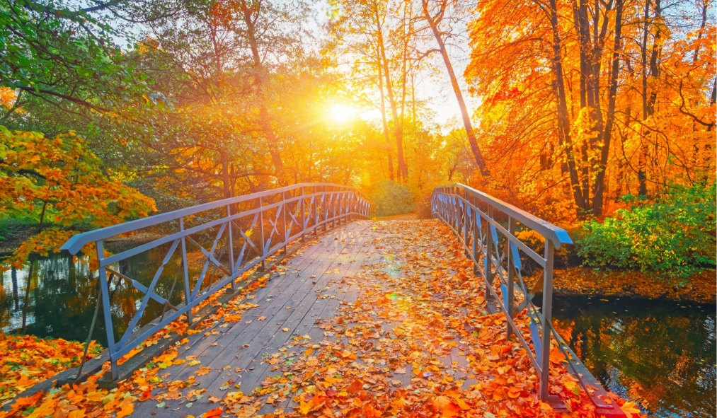 fall bridge