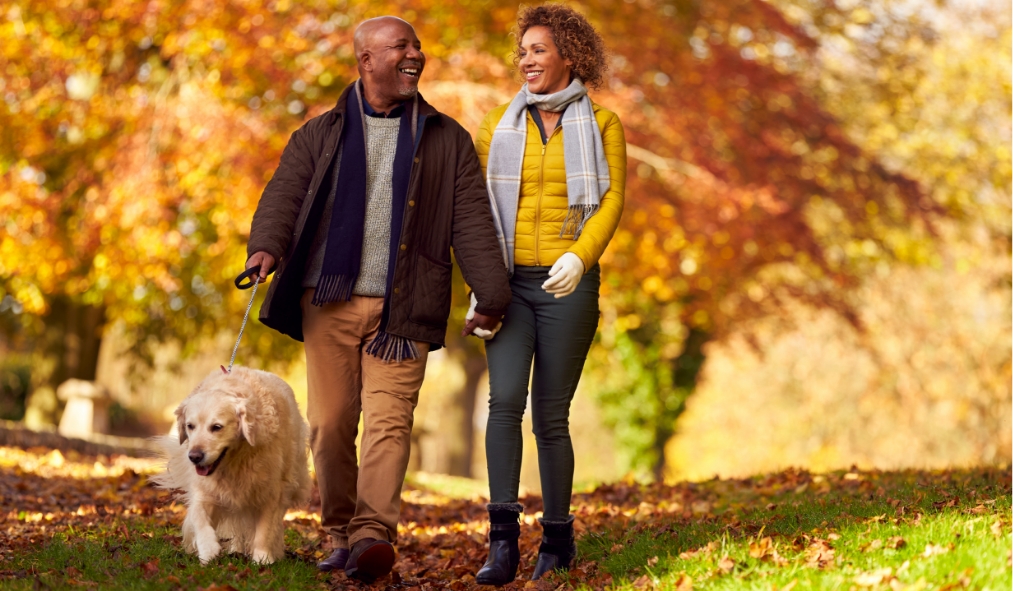 events autumn black middle aged couple walking dog
