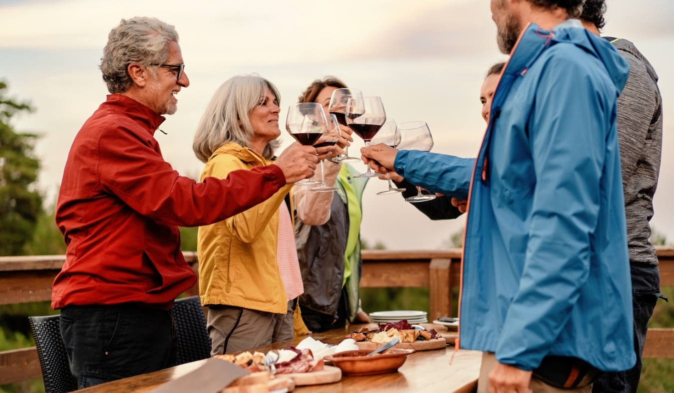 california vineyard A group of mature friends toasting with wine glasses at an outdoor table