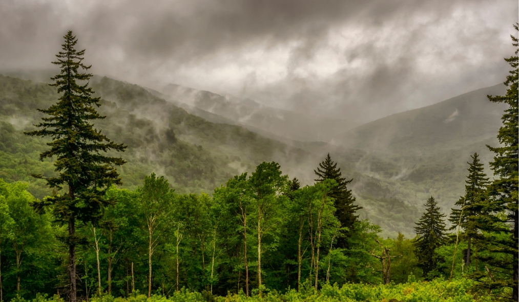 west virginia rainy appalachian mountains
