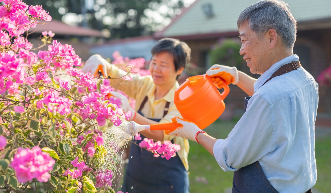 asian retired senior man with his wife watering plants in the garden