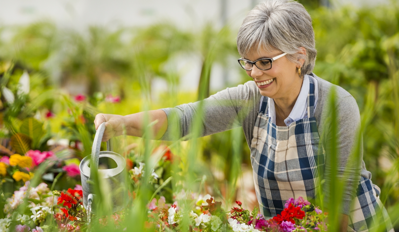 grandmother watering flowers in spring garden