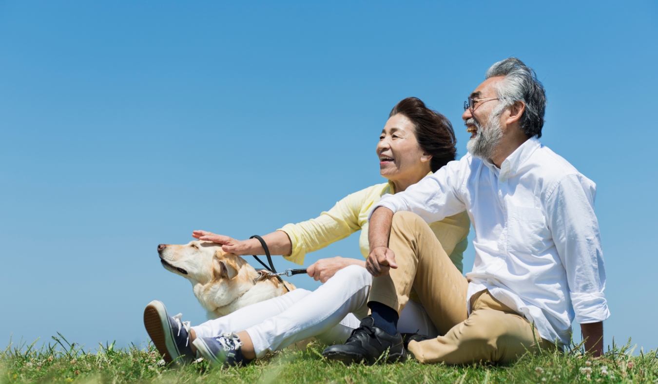 asian senior couple enjoying outdoor weather with dog