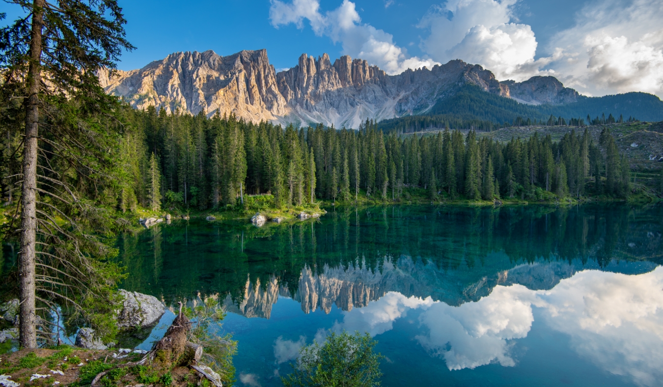 Paradise landscape