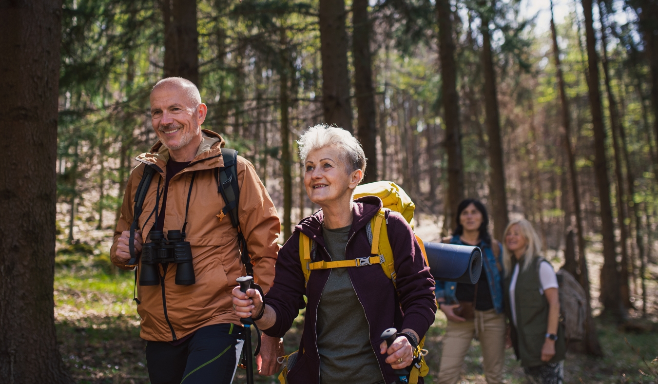 seniors hikers outdoors in forest in nature walking