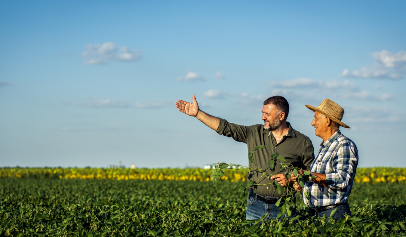 Two farmers in a field examining crop