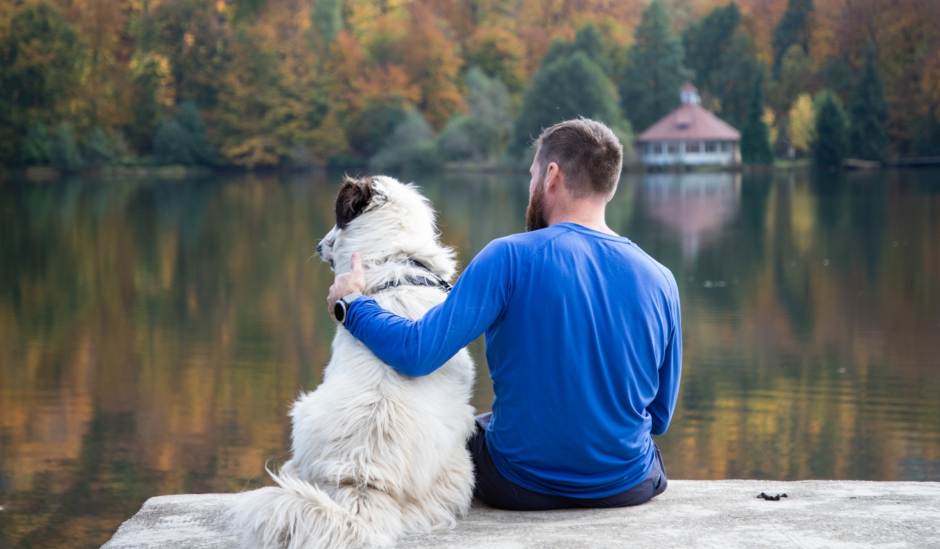man and dog sitting by autumn lake