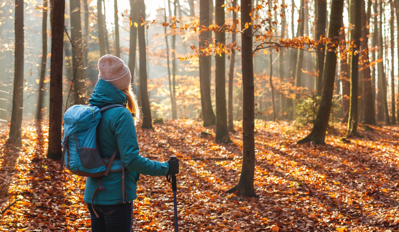 autumn hike in forest