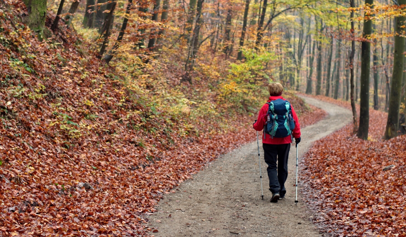 senior woman hiking in autumn landscape
