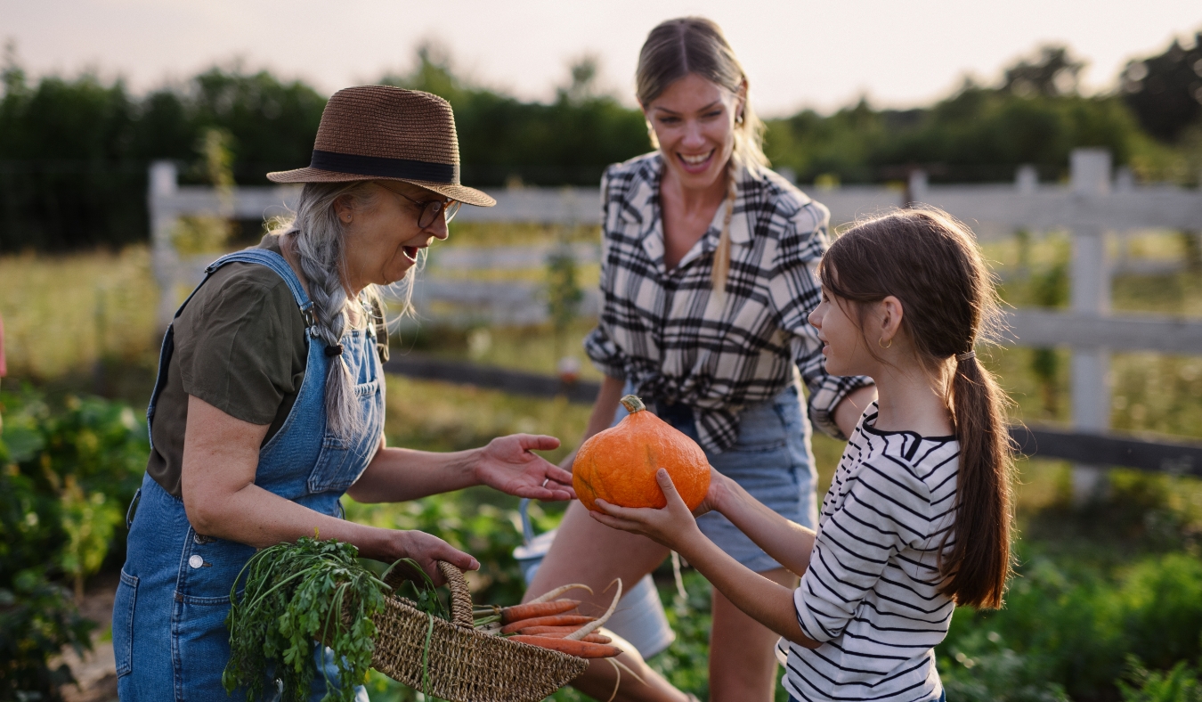 grandmother harvesting pumpkins with daughter and granddaughter