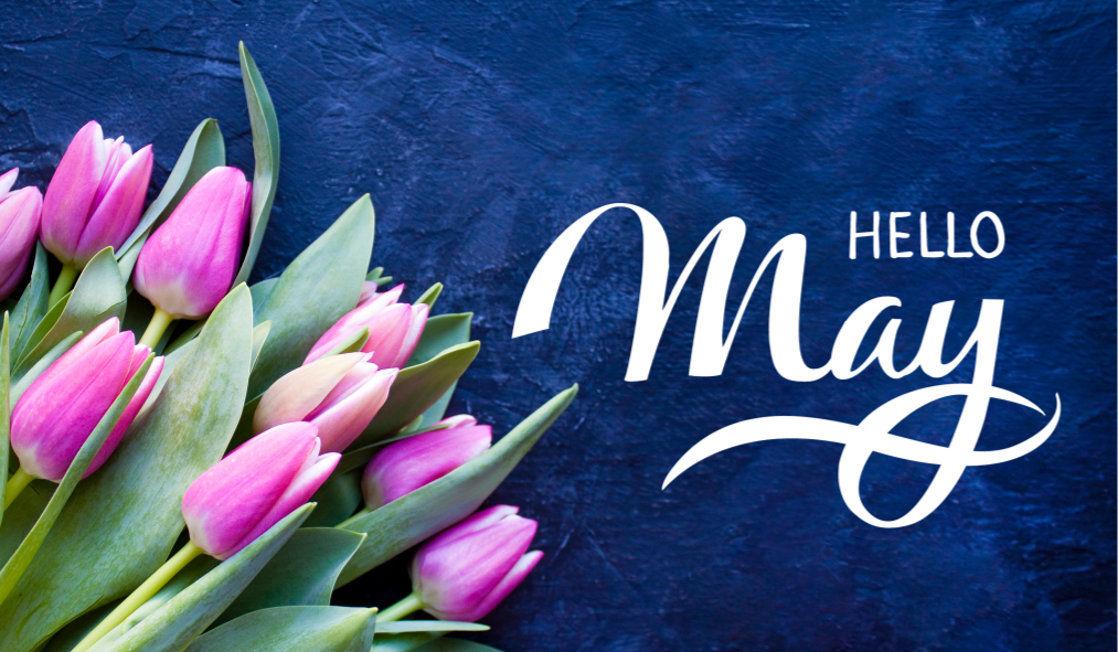 may hello may tulips
