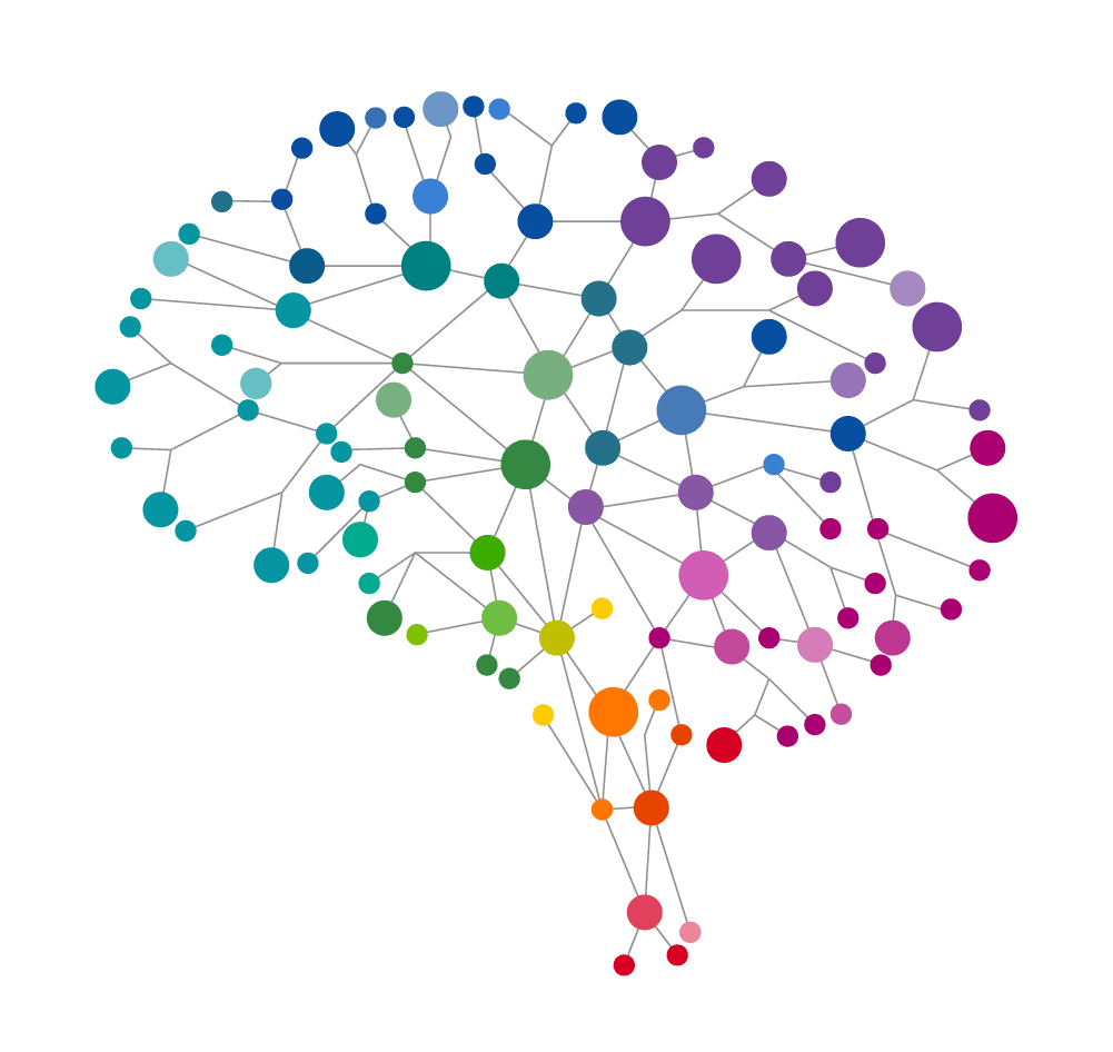 banner brain image2